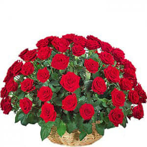 50 Red Roses Arrangement Basket